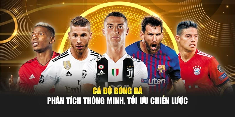 Cá Độ Bóng Đá – Phân Tích Thông Minh, Tối Ưu Chiến Lược