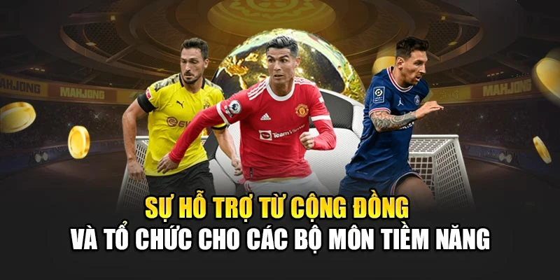 Sự hỗ trợ từ cộng đồng và tổ chức cho các bộ môn tiềm năng
