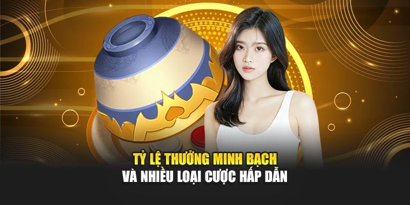 Tỷ lệ thưởng minh bạch và nhiều loại cược hấp dẫn