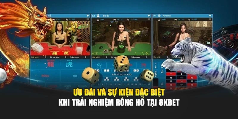 Ưu đãi và sự kiện đặc biệt khi trải nghiệm rồng hổ tại 8kbet